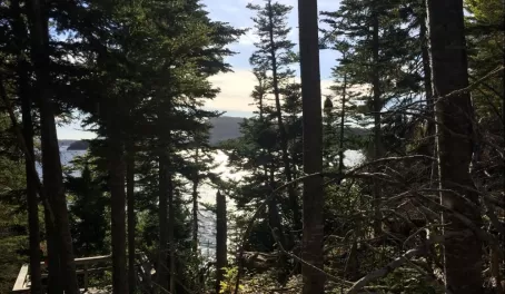 Trail views, Terra Nova National Park